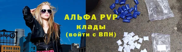 ешки Инта