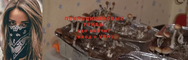 ALPHA-PVP Инсар