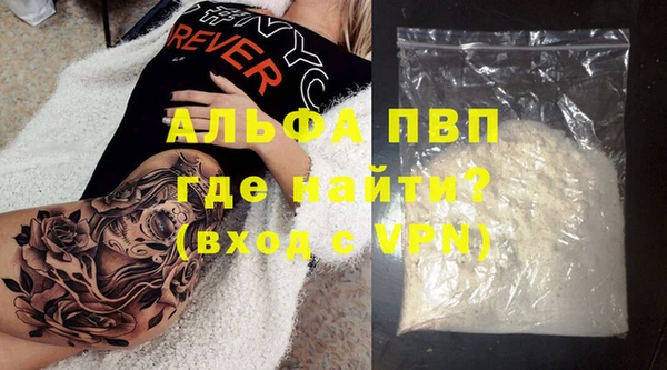 ешки Инта