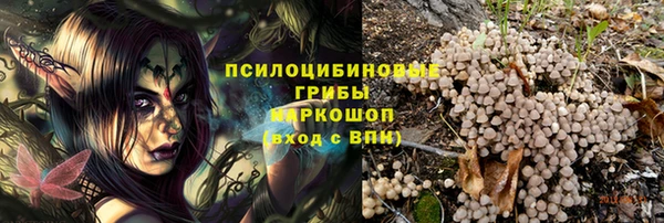 ALPHA-PVP Инсар