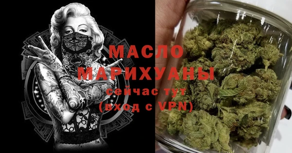 ешки Инта