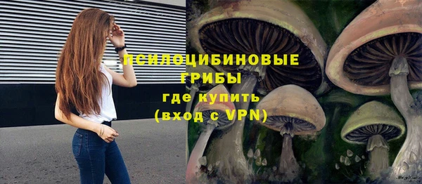 ешки Инта