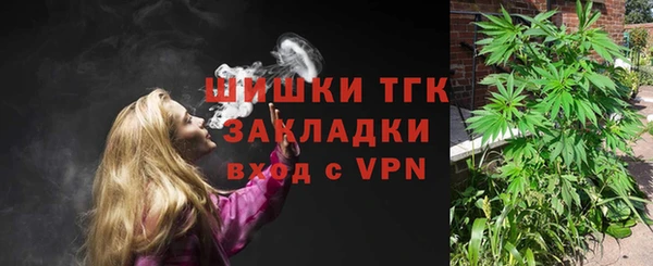 ешки Инта