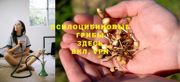 ALPHA-PVP Инсар