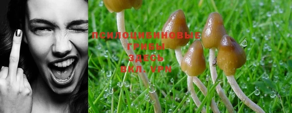 герыч Иннополис
