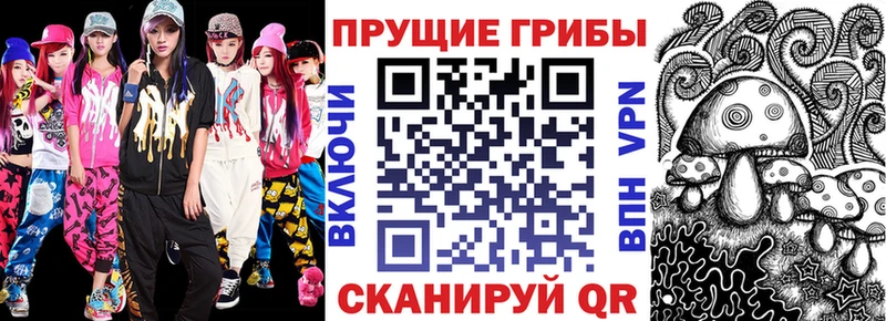 Купить где  Луга  Галлюциногенные грибы прущие грибы 